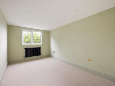 Picture 33